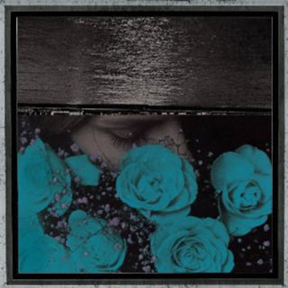 the album cover for Jessica Bailiff - At the Down-Turned Jagged Rim of the Sky