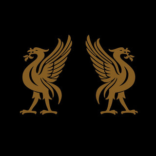 the album cover for Joey Cape - Liverbirds