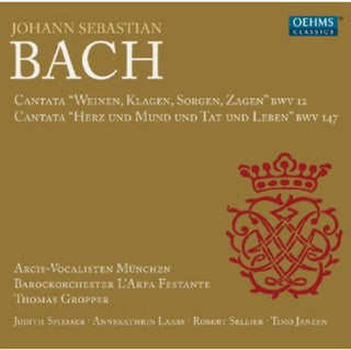 the album cover for Arpa Festante Baroque Orchestra, L' - Cantatas
