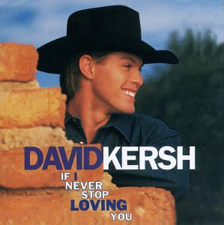 the album cover for David Kersh - If I Never Stop Loving You
