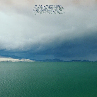 the album cover for Modest Mouse - Fruit That Ate Itself