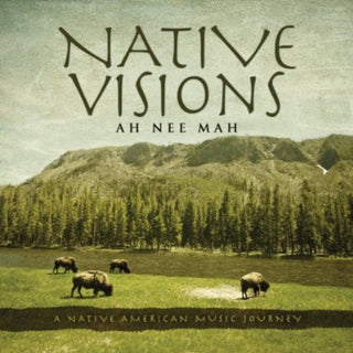 the album cover for Ah Nee Mah - Native Visions: A Native American Music Journey