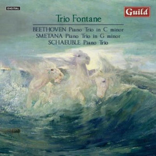 the album cover for Beethoven / Trio Fontane / Smetana - Piano Trio in C minor Op 1
