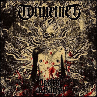 the album cover for Tormented - Death Awaits