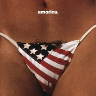 the album cover for The Black Crowes - Amorica. [Import]