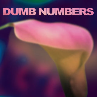 Dumb Numbers- Dumb Numbers