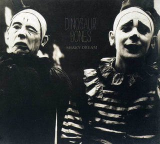 the album cover for Dinosaur Bones - Shaky Dream