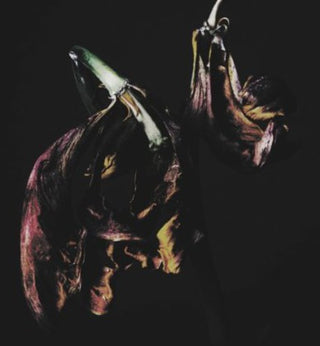 the album cover for TRAAMS - Grin
