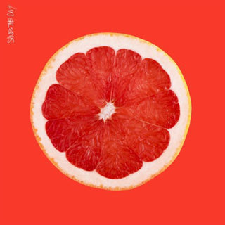 Saves the Day- Saves the Day (Vinyl)