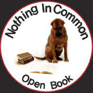 the album cover for Nothing In Common - Open Book