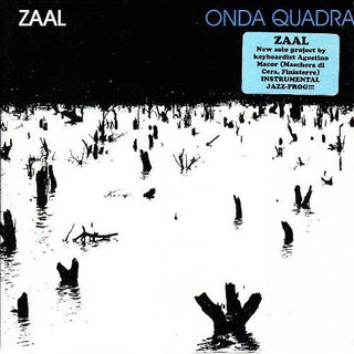 the album cover for Zaal - Onda Quadra