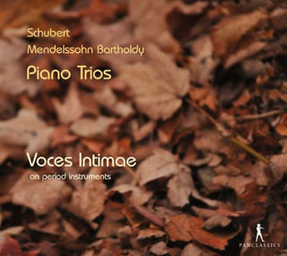 the album cover for Schubert / Voces Intimae - Piano Trios