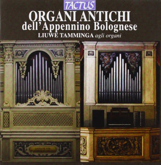 the album cover for Tamminga - Organi Antichi Dellappennino