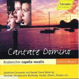 the album cover for Serafini / Il Viaggio Musicale - Cantate Domino