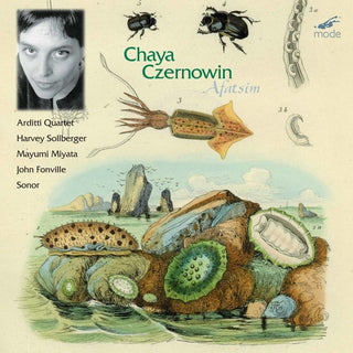the album cover for Louis/Ekizian,Michelle Karchin - Afatsim