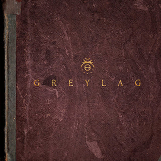 the album cover for Greylag - Greylag