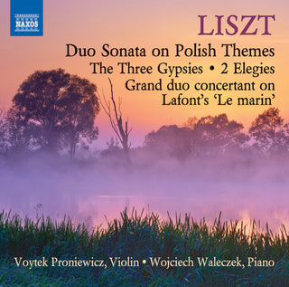the album cover for Liszt / Proniewicz / Waleczek - Music for Violin & Piano