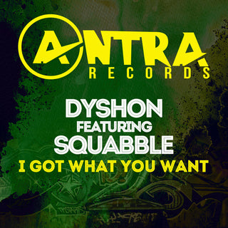 the album cover for Dyshon - I Got What You Want