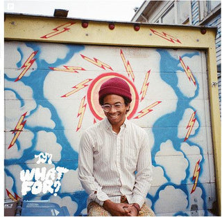 Toro y Moi- What for