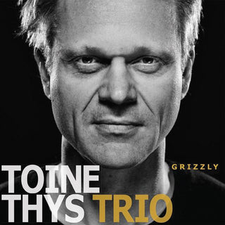 the album cover for Toine Thys - Grizzly