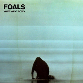 Foals- What Went Down