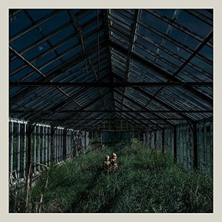 Foxing- Dealer (Vinyl)