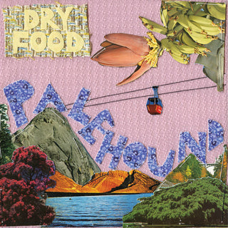 Palehound- Dry Food (Vinyl)