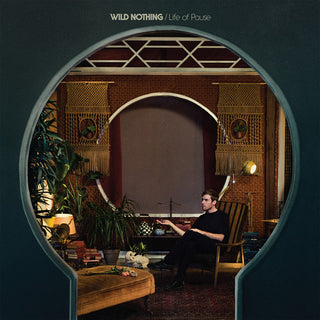 the album cover for Wild Nothing - Life of Pause