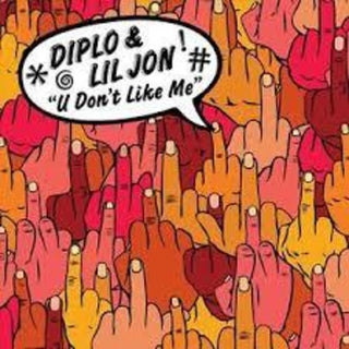 Diplo- U Don't Like Me