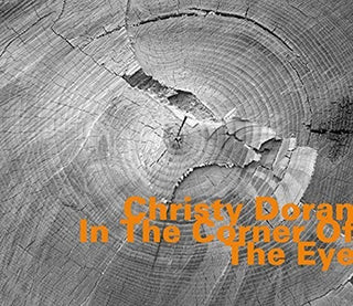 the album cover for Christy Doran - In The Corner Of The Eye