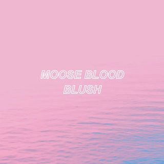 the album cover for Moose Blood - Blush [Vinyl]