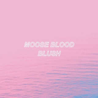 the album cover for Moose Blood - Blush