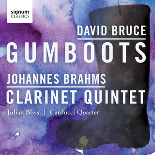 the album cover for JULIAN BLISS - David Bruce: Gumboots - Johannes Brahms: Clarinet