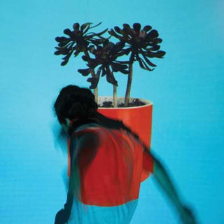 the album cover for Local Natives - Sunlit Youth