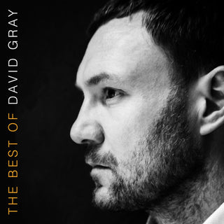the album cover for David Gray - The Best Of David Gray [Vinyl]