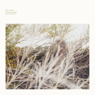 Luke Temple- A Hand Through The Cellar Door