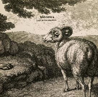 Dodsvarg- Livet Ar En Dodsorsak