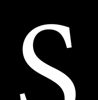 the album cover for Jan Noble - Swan