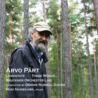 the album cover for Dennis Davies - Part: Lamentate These Words