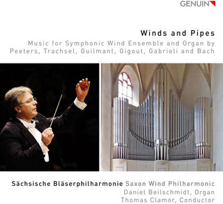 the album cover for Daniel Beilschmidt - Winds & Pipes