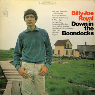 the album cover for Billy Royal Joe - Down in the Boondocks
