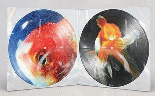 Vince Staples- Big Fish Theory (Pic Disc)