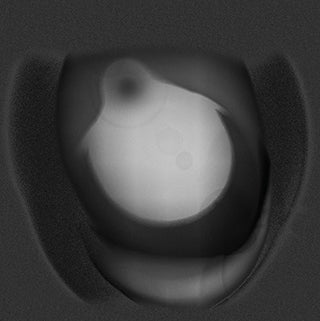 Flies + Flies- Milk & Peppers