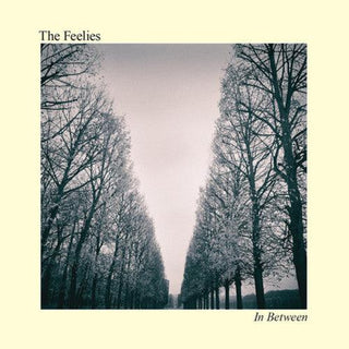 The Feelies- In Between