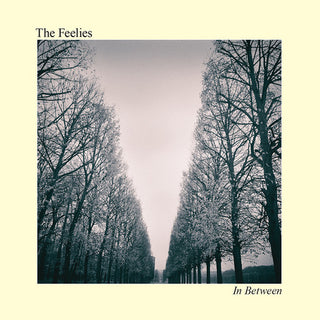 the album cover for The Feelies - In Between