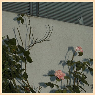 the album cover for Soft Kill - Savior