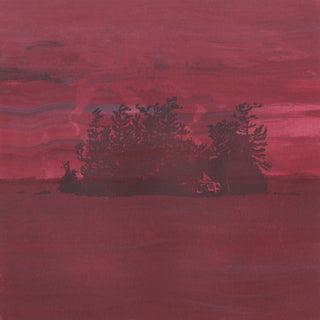 The Besnard Lakes- Besnard Lakes Are The Divine Wind