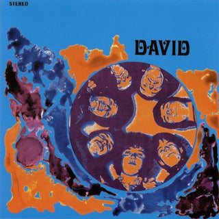 the album cover for David - David