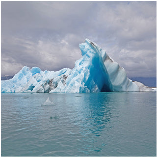 Surfer Blood- Snowdonia (Vinyl)