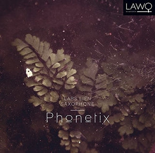 the album cover for lars lien - Phonetix